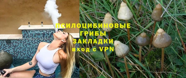 а пвп мука Абаза
