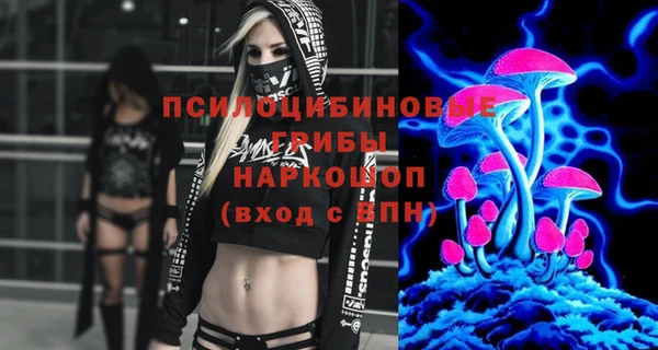 а пвп мука Абаза