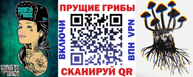 где купить наркотик  Каменногорск  Галлюциногенные грибы Magic Shrooms 